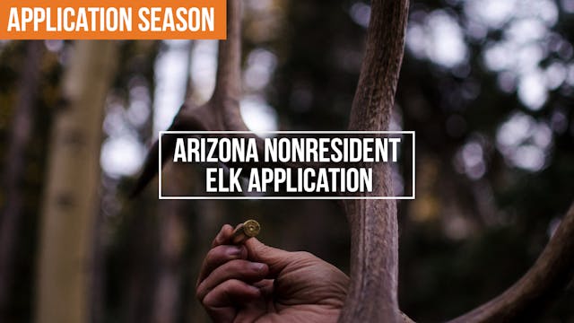 How to Apply for Arizona Elk & Prongh...