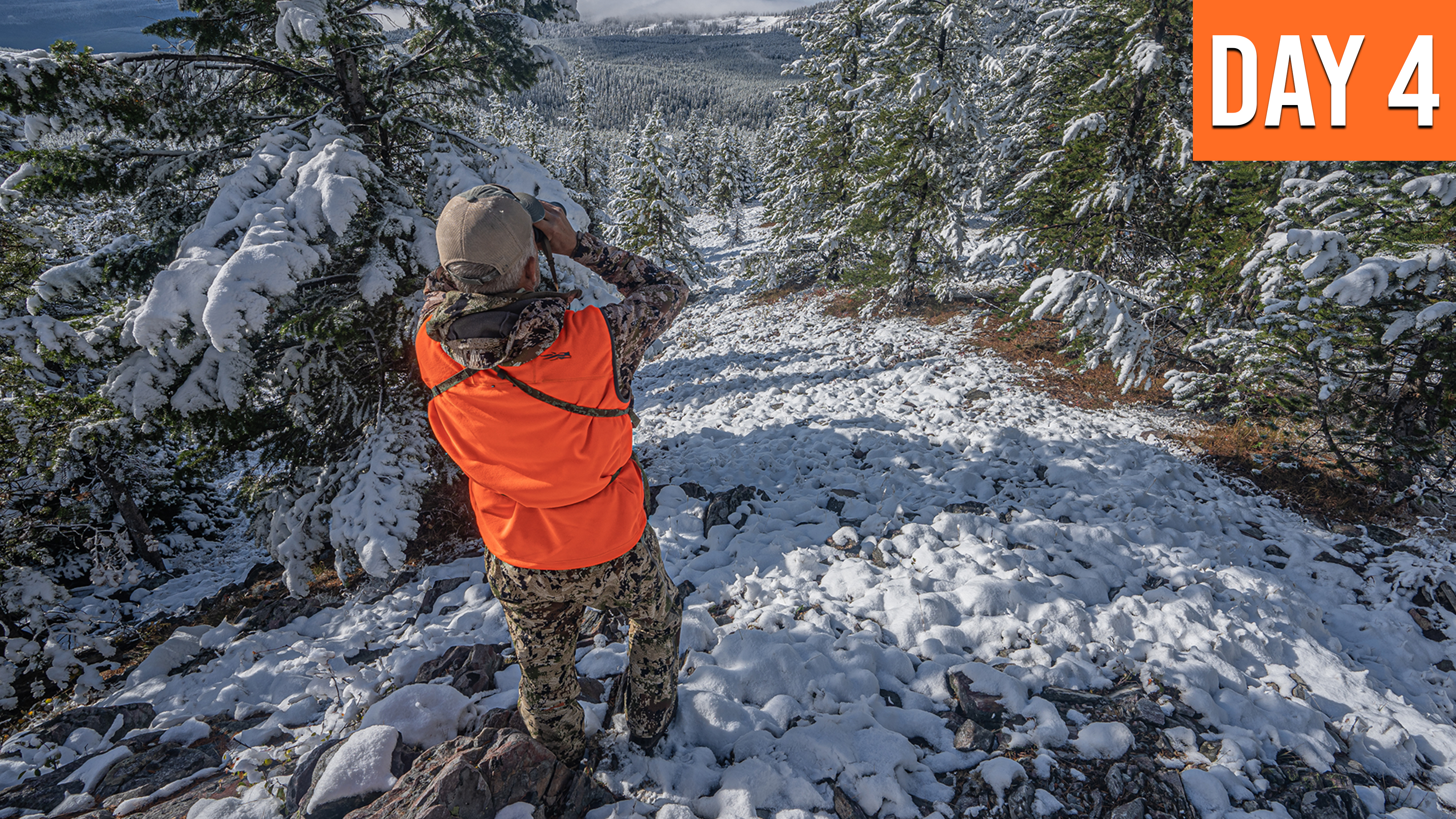 Looking For Moose At Higher Elevation | Montana Moose (DAY 4)
