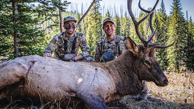 Elk Country Chronicle