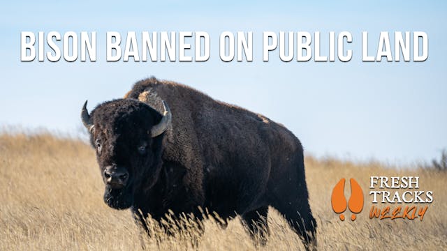 You Can't Graze Here! | Fresh Tracks ...