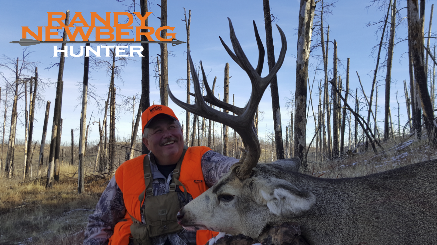 Montana Deer - Old Friends & New Memories