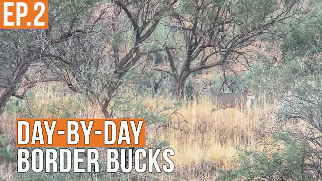 We Found The Spot! | Border Bucks EP.2