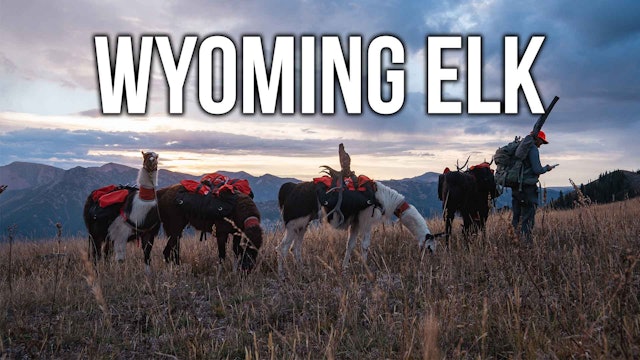 Backcounty Wyoming Elk Hunt | Day-by-Day