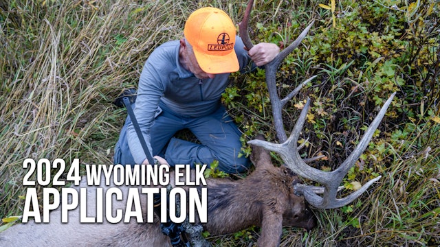 How to Apply For Elk in Wyoming This Year 