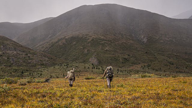 An Alaskan Adventure | Alaska Moose w...