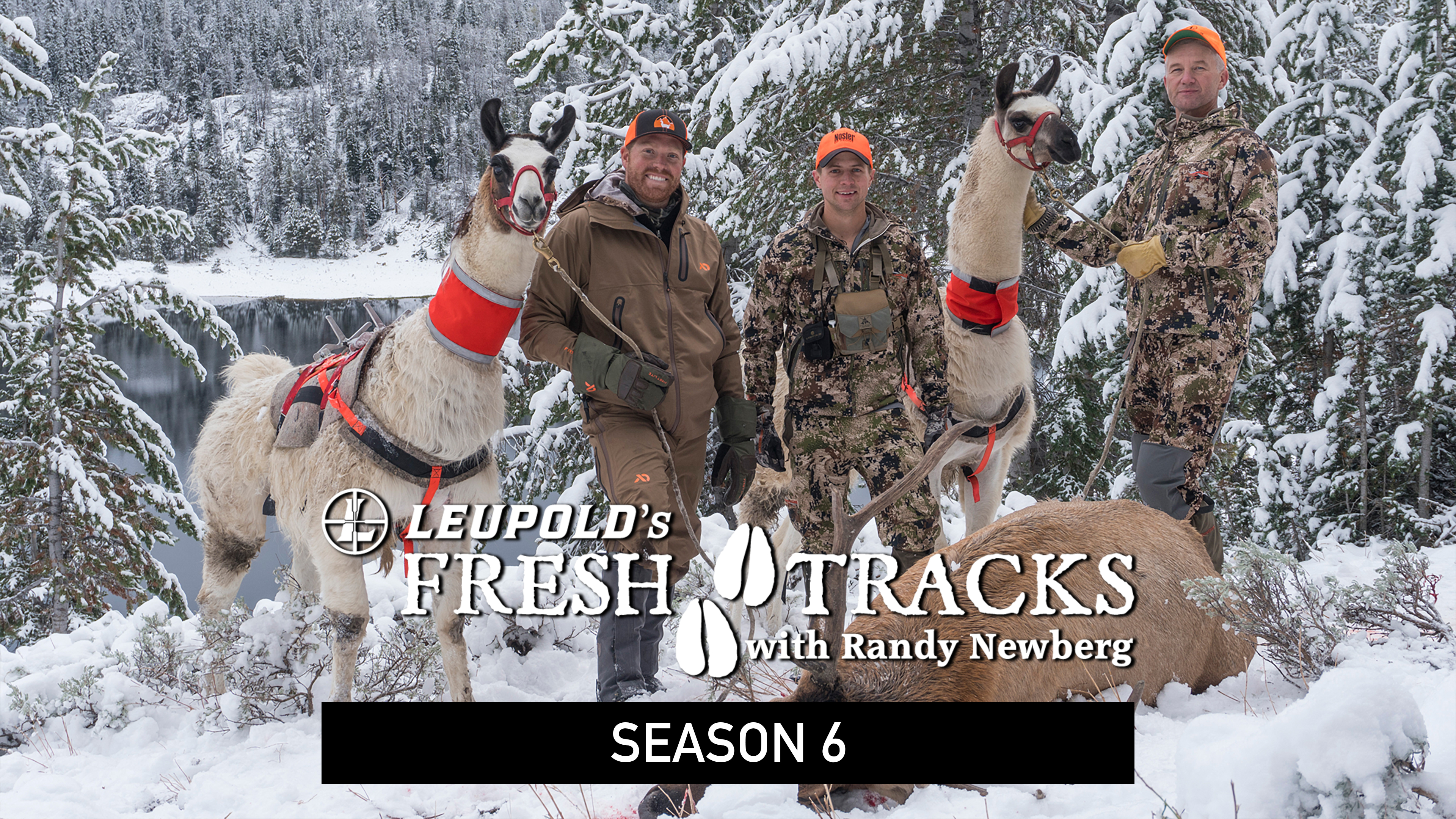 Fresh Tracks – Season 6