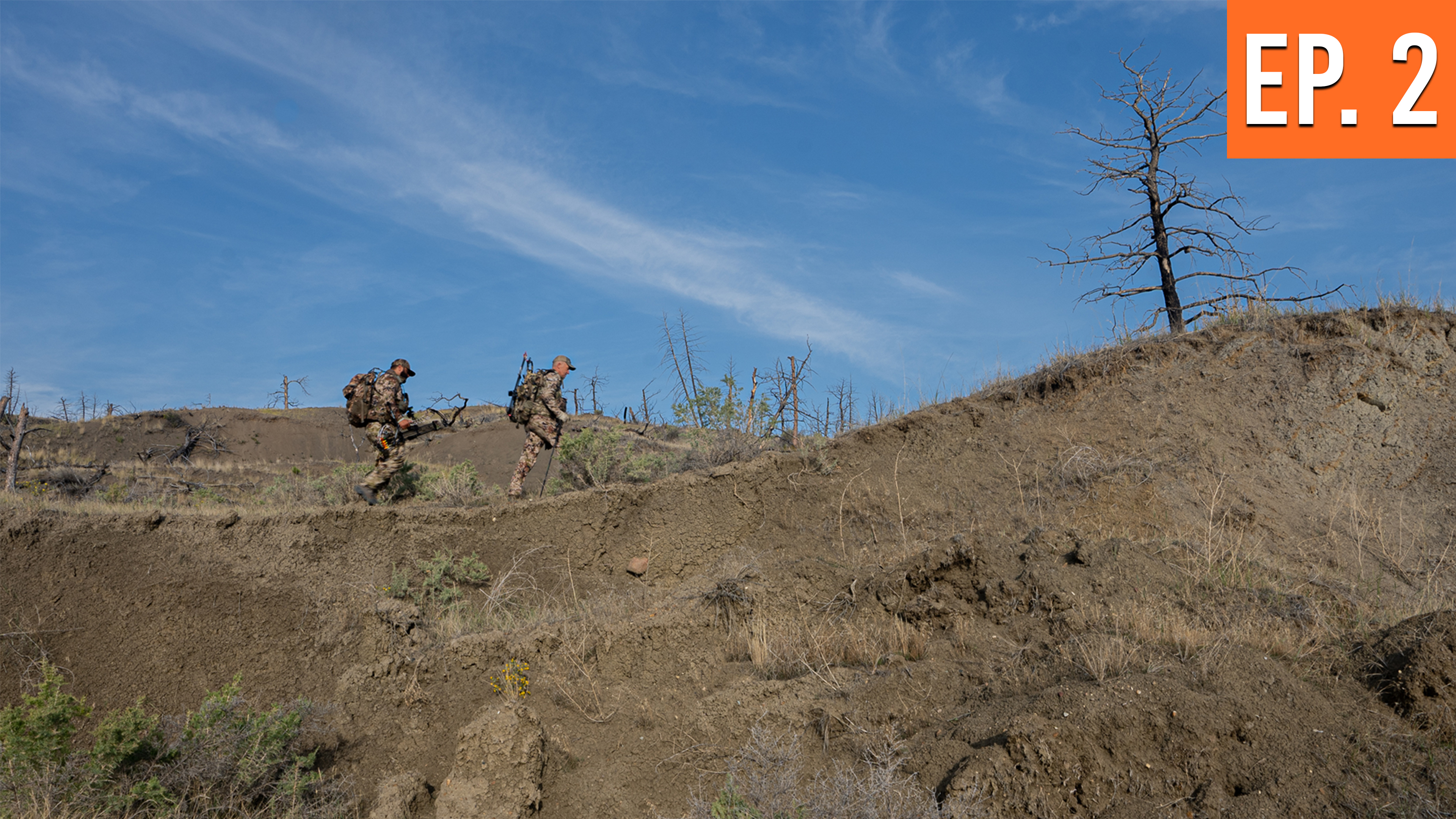 Bowhunting Elk in the Open Country | Montana Archery Elk (EP. 2)