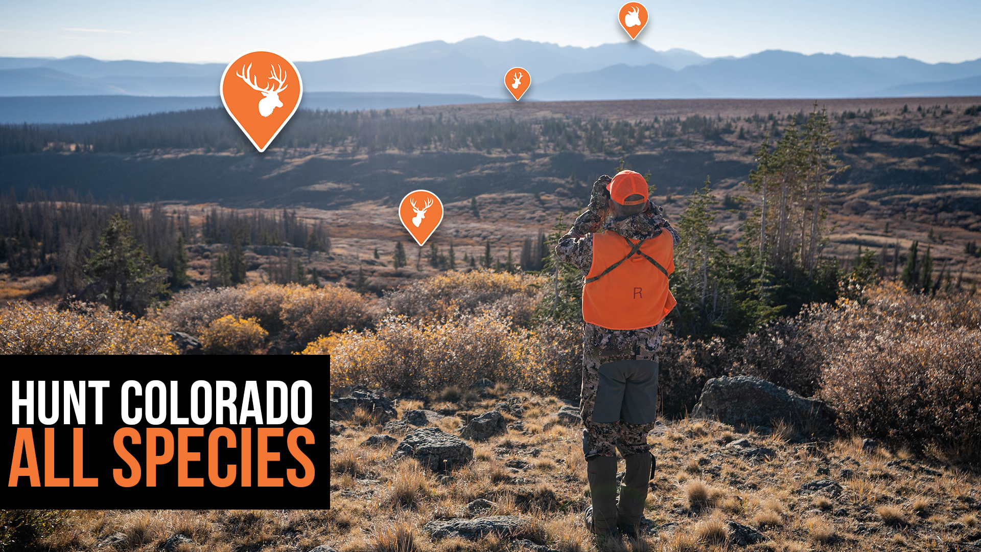 Colorado Application Strategy - All Species