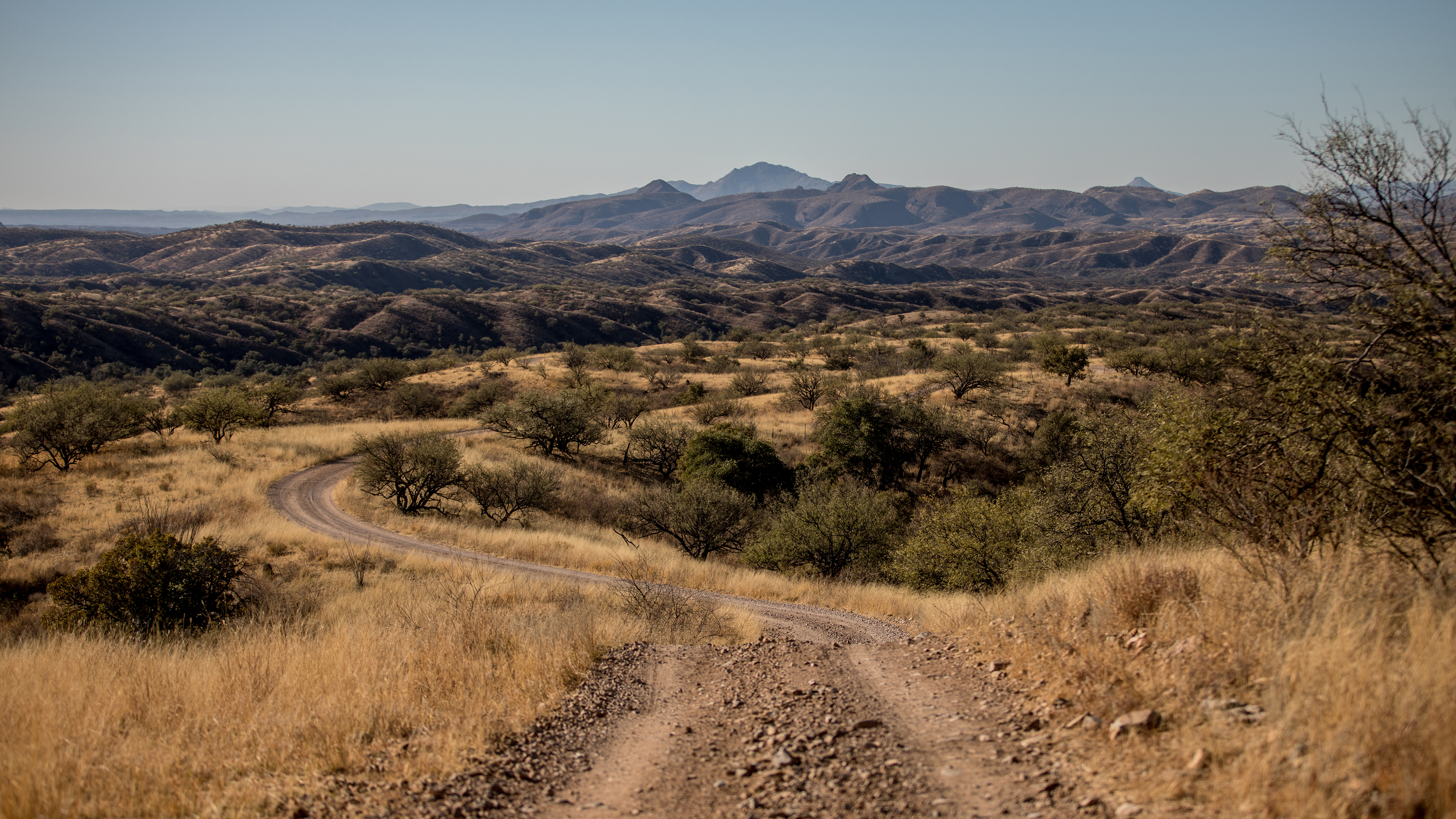 Southern Arizona Sonoran Safari