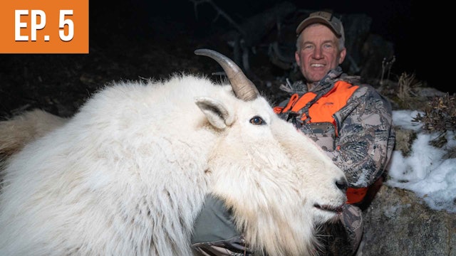 Persistence Pays off! | Montana Mountain Goat Ep.5