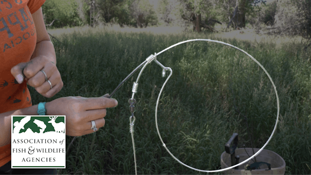 How to Use Cable Restraints