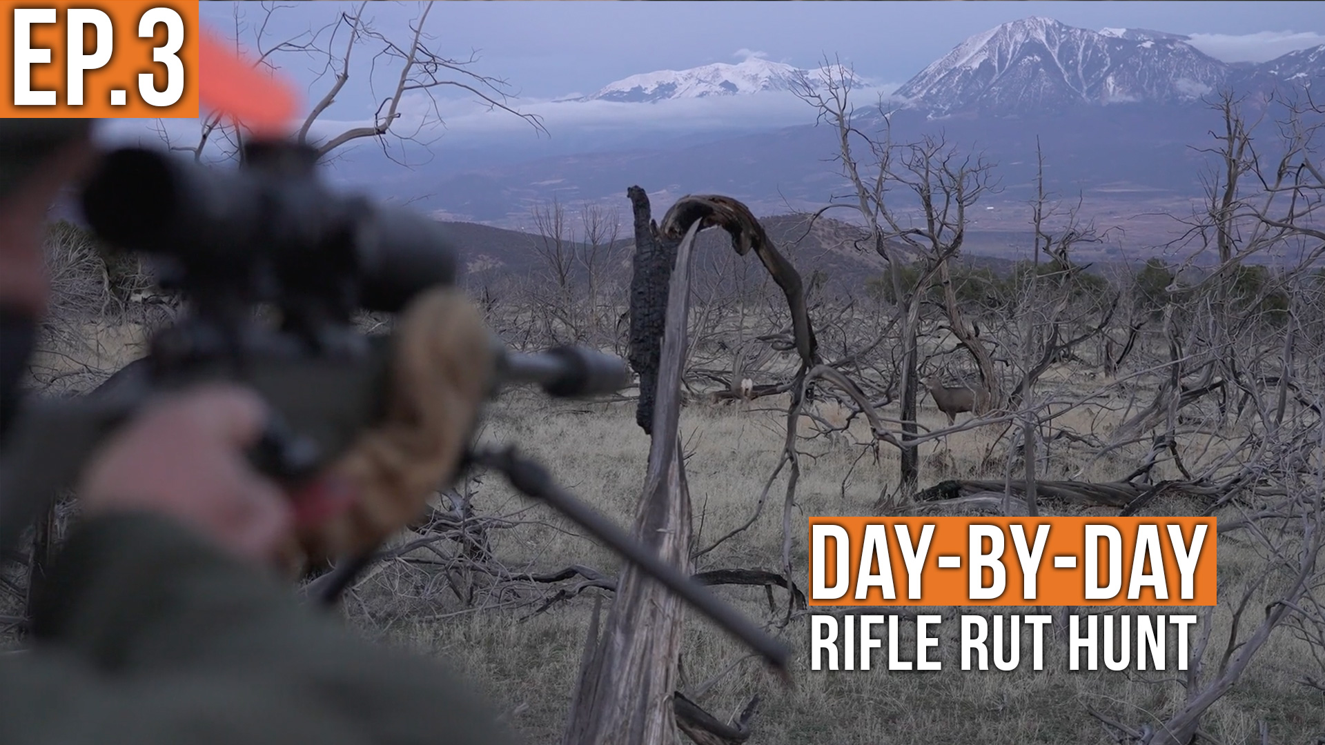The Last Charge! | Rifle Rut Hunt (EP.3)