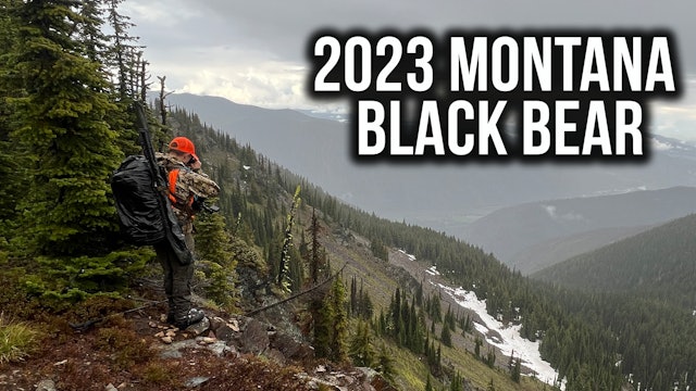 2023 Montana Black Bear Hunts