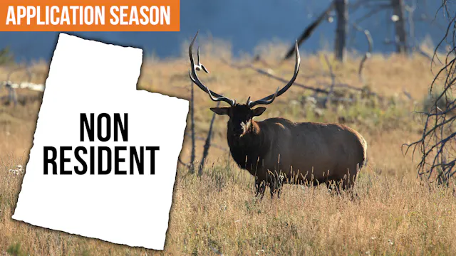 Utah Draw Strategy for Non-Residents ...