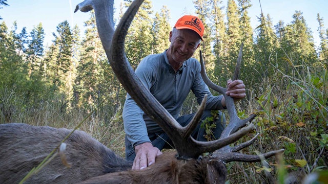 Randy's General Season Bull Elk! | Wyoming Backcountry Elk Day-by-Day