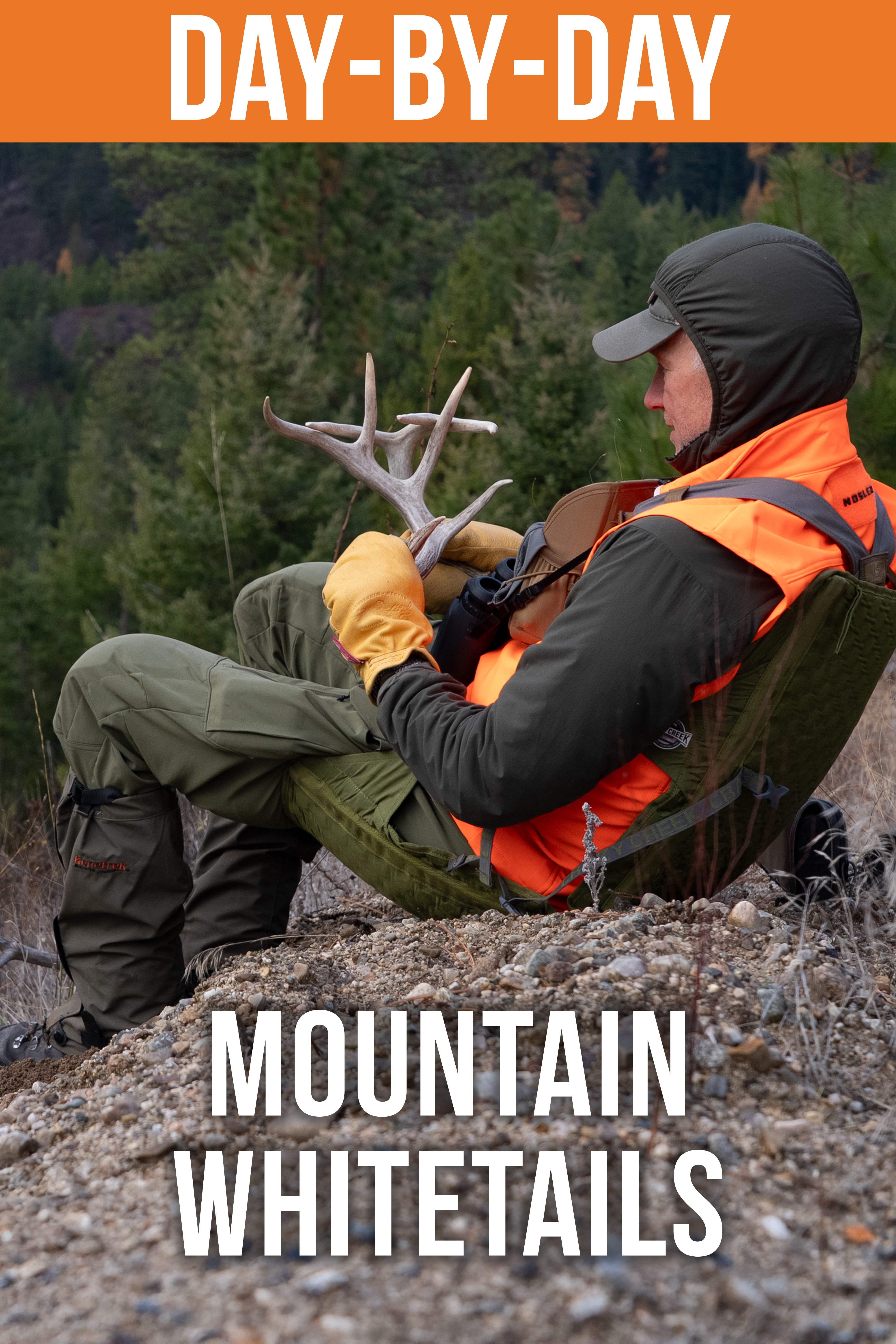 Mountain Whitetails