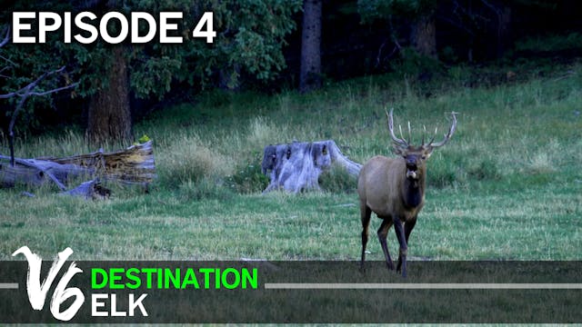 The Legend of ‘Last Day Donnie’ - Episode 4 (Destination Elk V6)