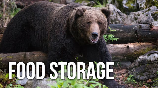 How to Store Food Safely in Grizzly C...