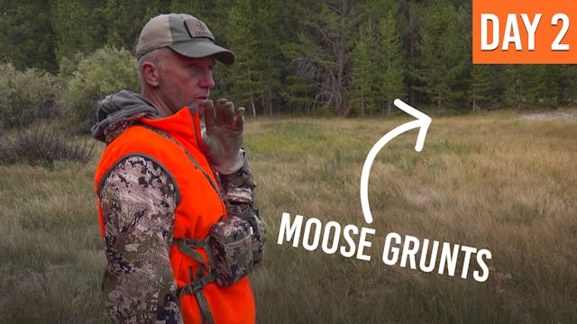 Going In Blind After A Bull | Montana...