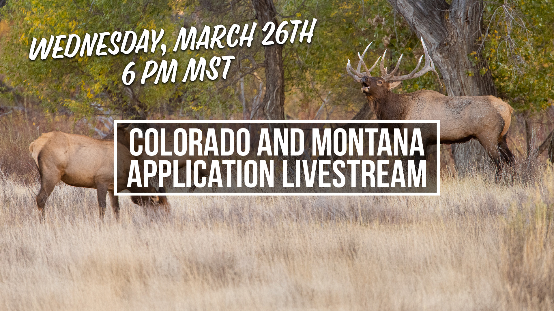 Colorado and Montana Application Live Stream