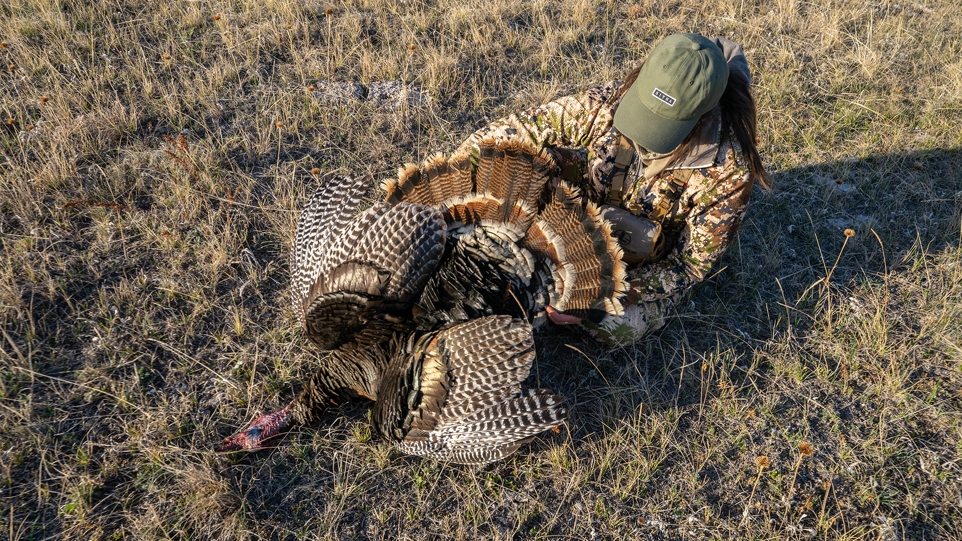 Turkey Down! MT Crew Turkey Hunt EP.2 