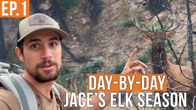 There’s a lot of bulls around me righ...