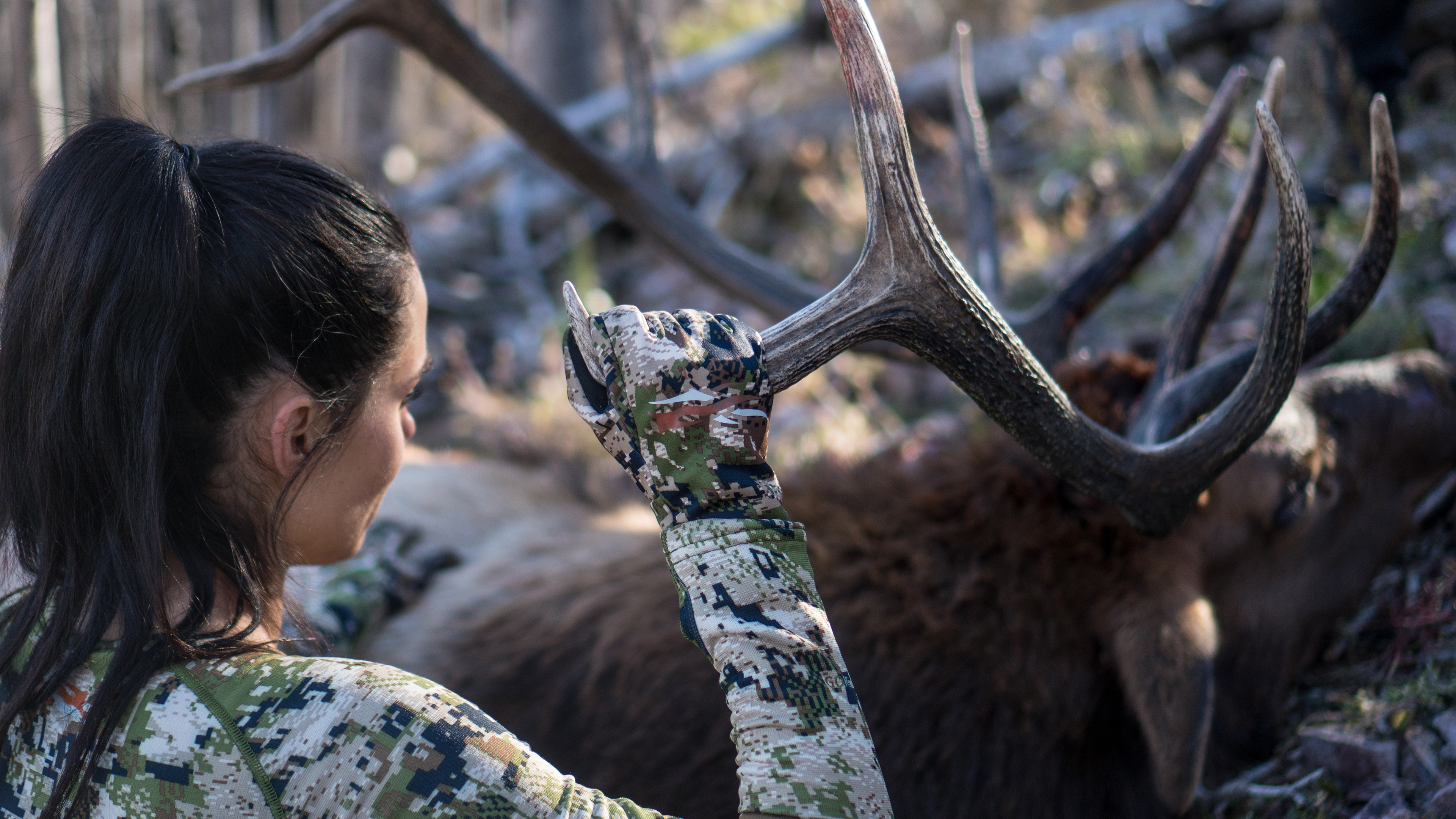 New Mexico Rifle Elk with Bruce and Tracey Pettet
