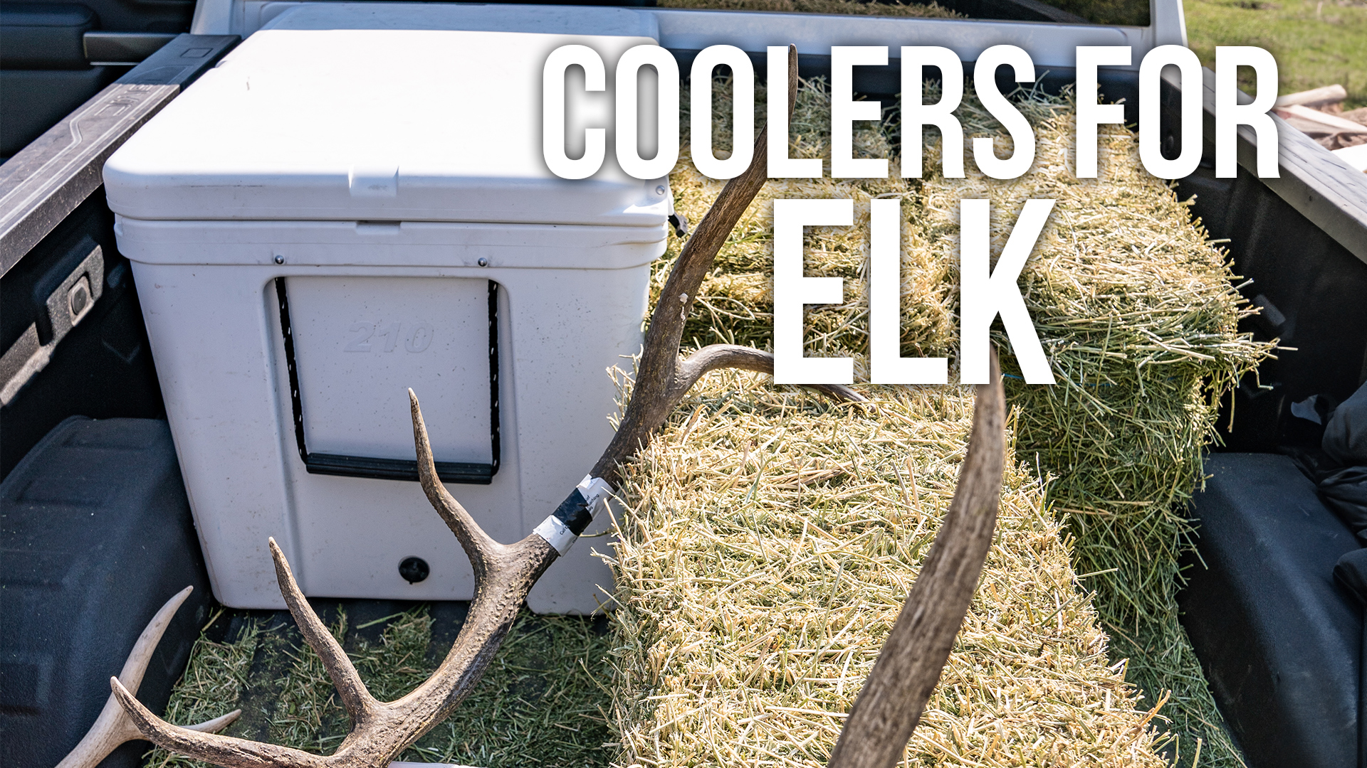 How Many Coolers for an Elk???