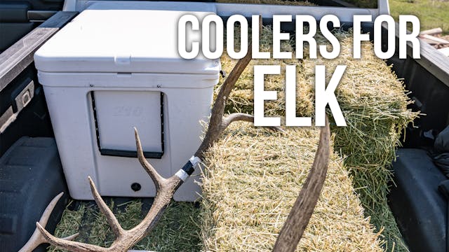 How Many Coolers for an Elk???