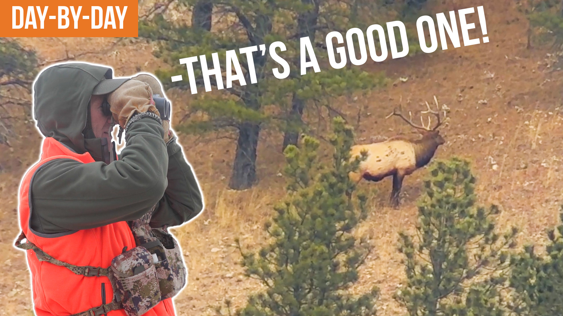 There Are Bulls Everywhere | Montana Elk Day-by-Day (EP.2)