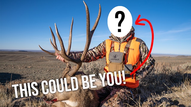 How To Apply For Deer & Pronghorn in Wyoming 