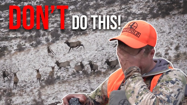 3 Mistakes Elk Hunters Make 