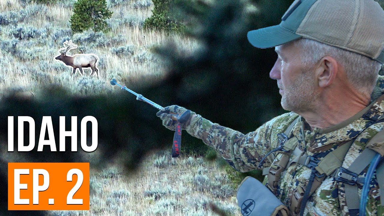 We Got On The Herd | Idaho Archery Elk (EP. 2)