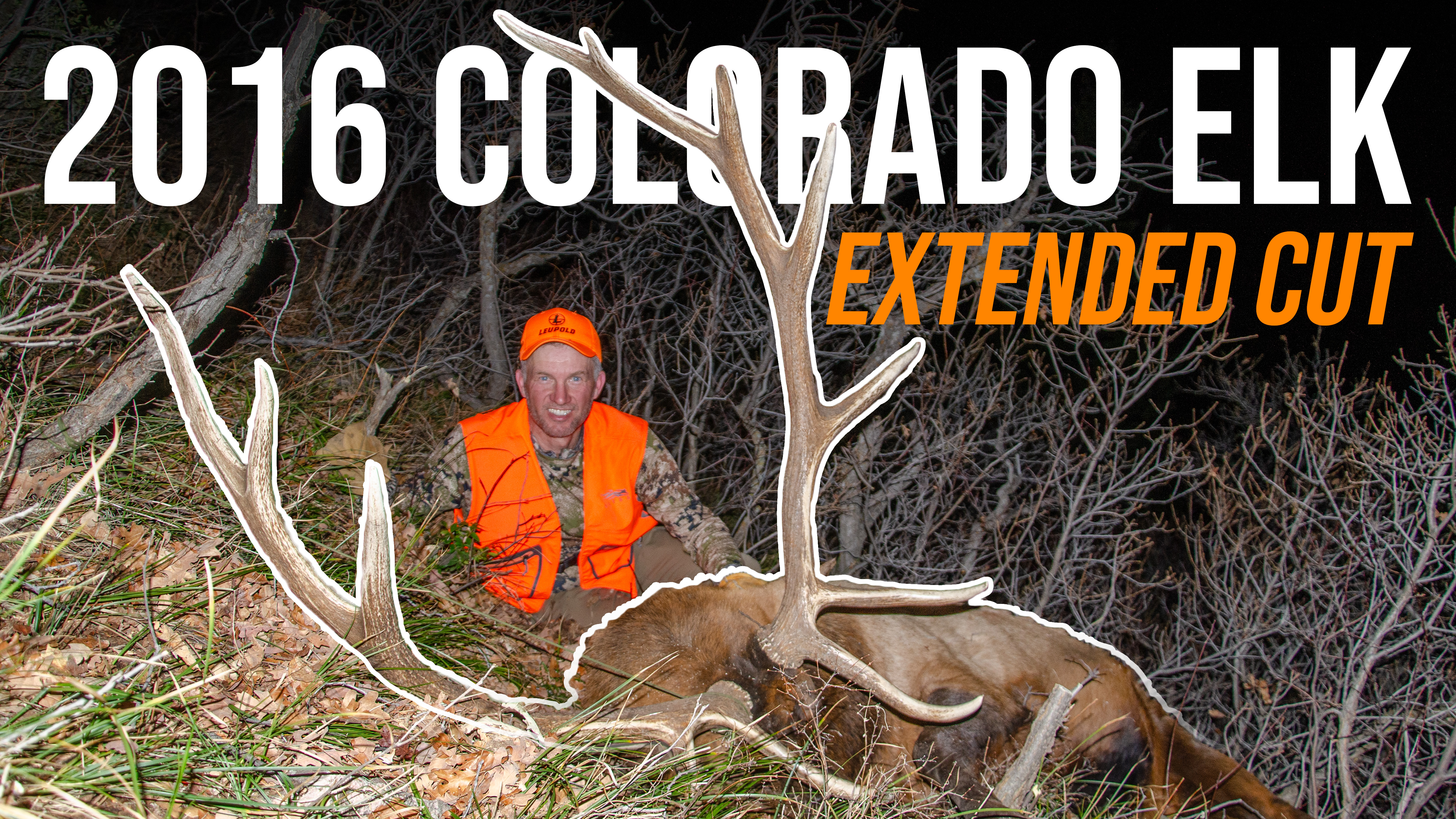 20 Years in the Making: Randy’s Colorado Public Land Elk Hunt (Extended Cut)