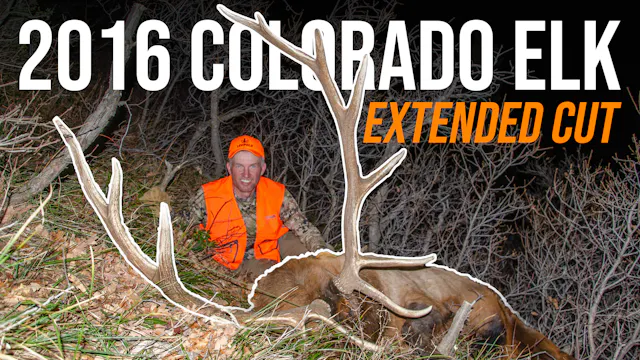 20 Years in the Making: Randy’s Color...