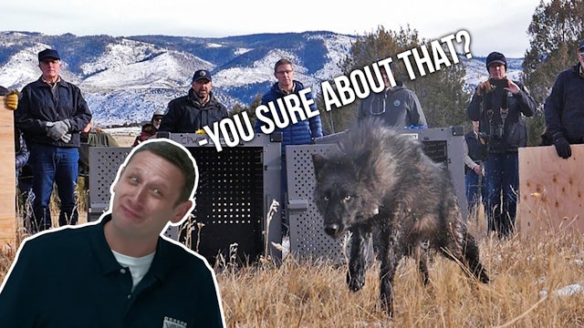 Wolves in Colorado, Randy Working Out, And a Recap of 2023! | FTW (EP.58)