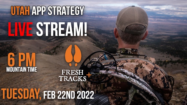Utah App Strategy Live Stream