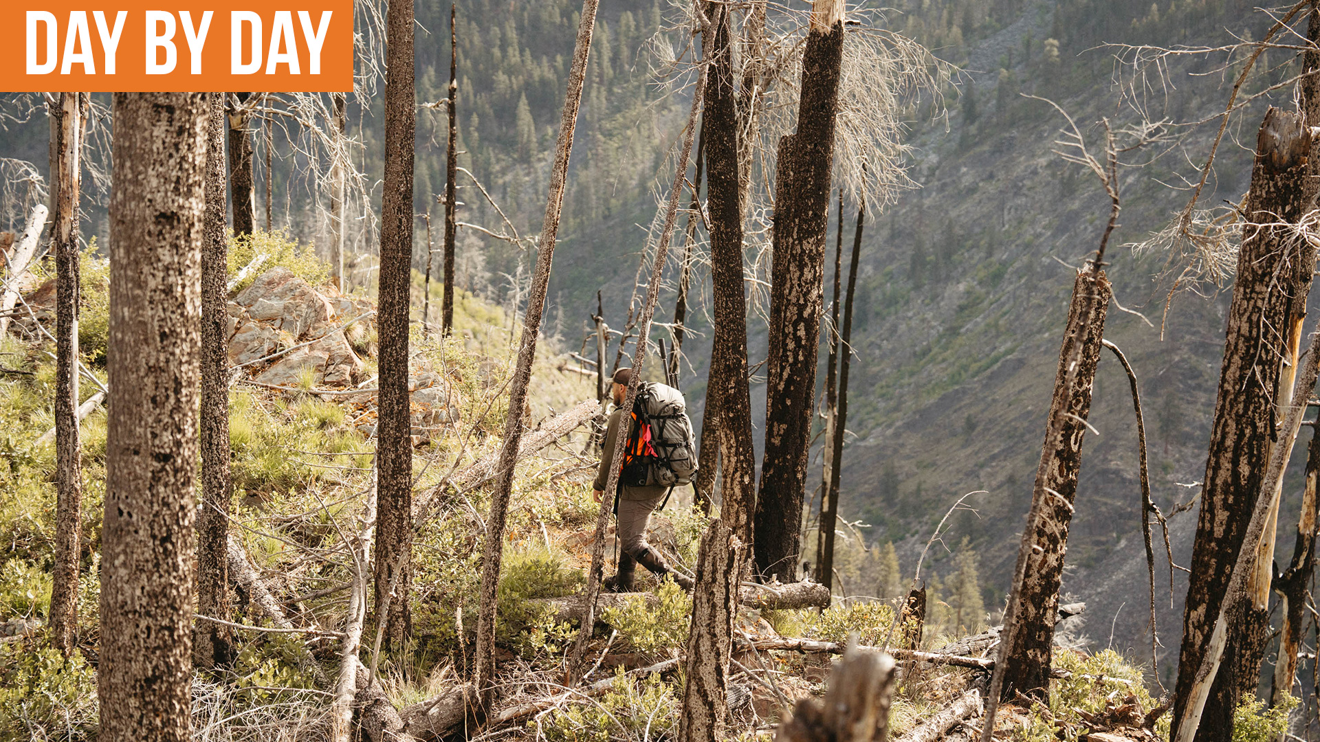 It Hurts...Bad | Montana Bear Hunt (EP.2)