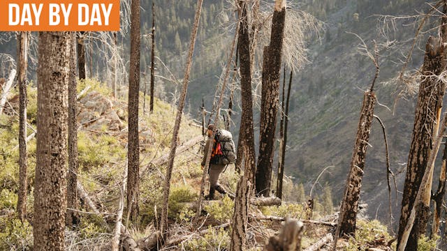 It Hurts...Bad | Montana Bear Hunt (E...