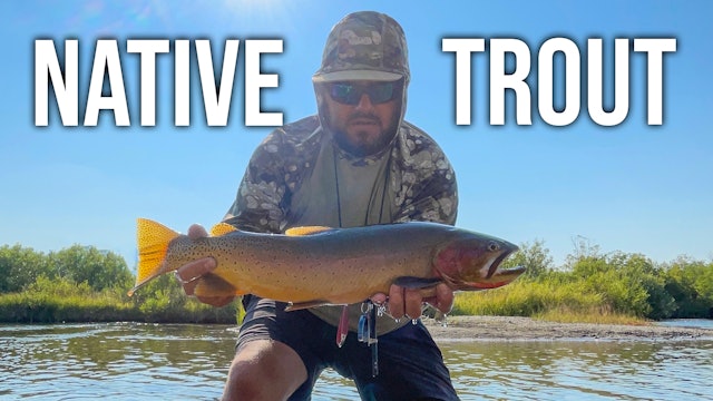 Native Trout in Montana | ANYFIN GOES! 