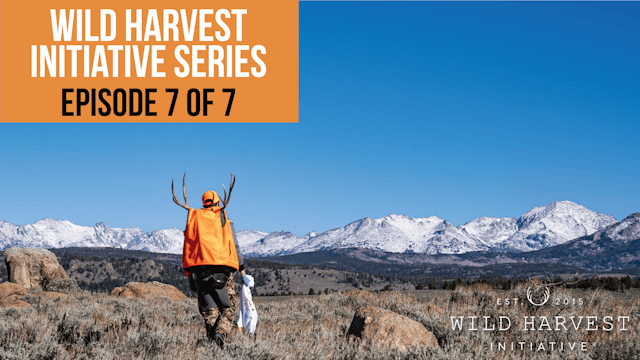 Wild Harvest Initiative Series - Episode 7 of 7 