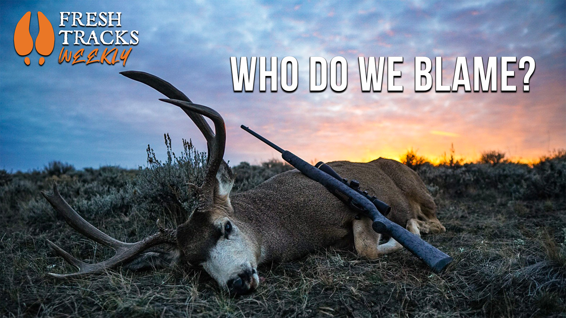 Bad Game Management | Fresh Tracks Weekly (Ep. 113)