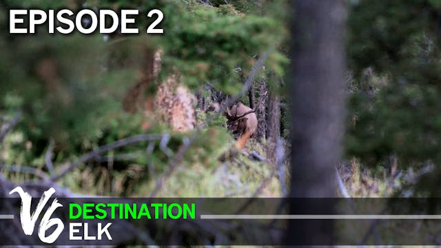 A Giant NM Bull in Donnie’s Lap - Episode 2 (Destination Elk V6)