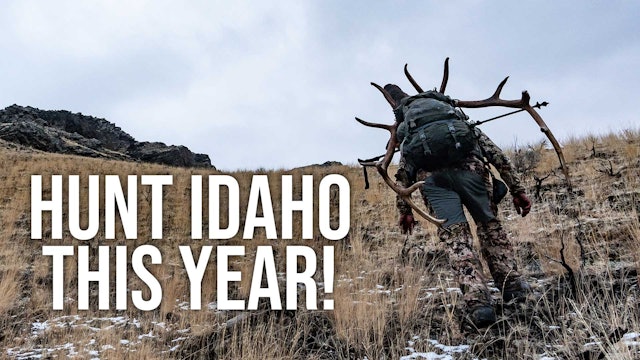 Idaho Application Strategy 2023