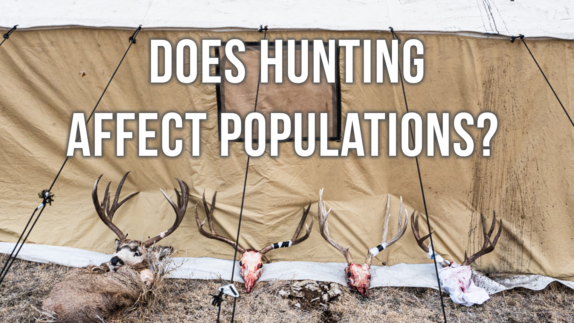 Managing Wildlife Into the Ground? | Fresh Tracks Weekly (Ep. 63)