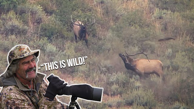 Scott Won A SUPER TAG! | Idaho Elk wi...