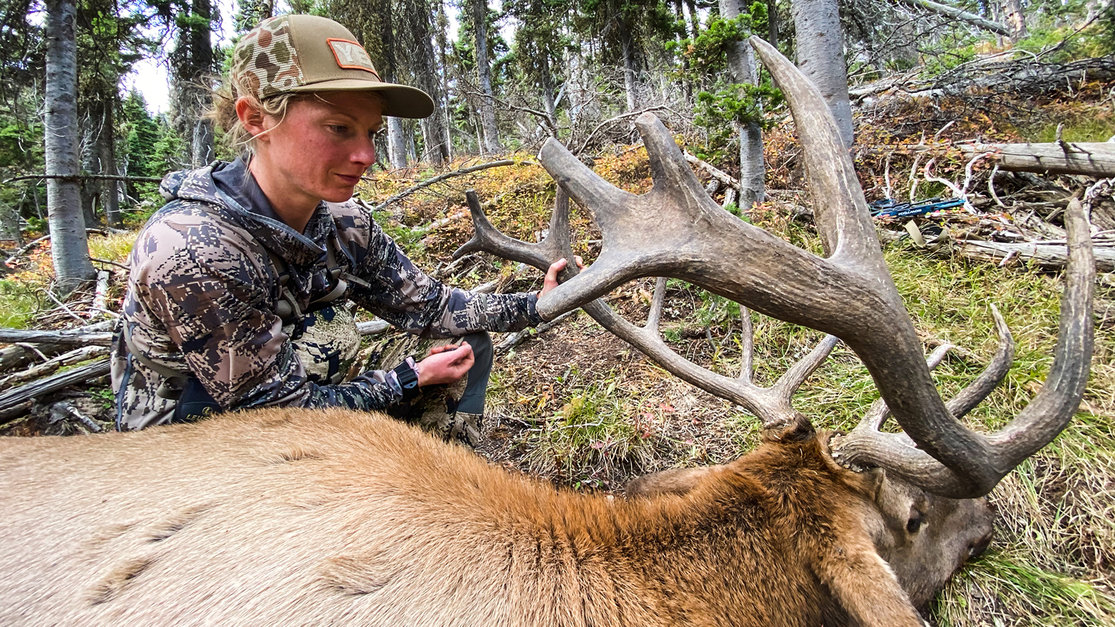 Public Land Bull Down! | Montana Archery Elk With Marcus and Kara