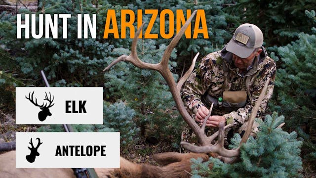 2022 Arizona Elk & Pronghorn Applicat...