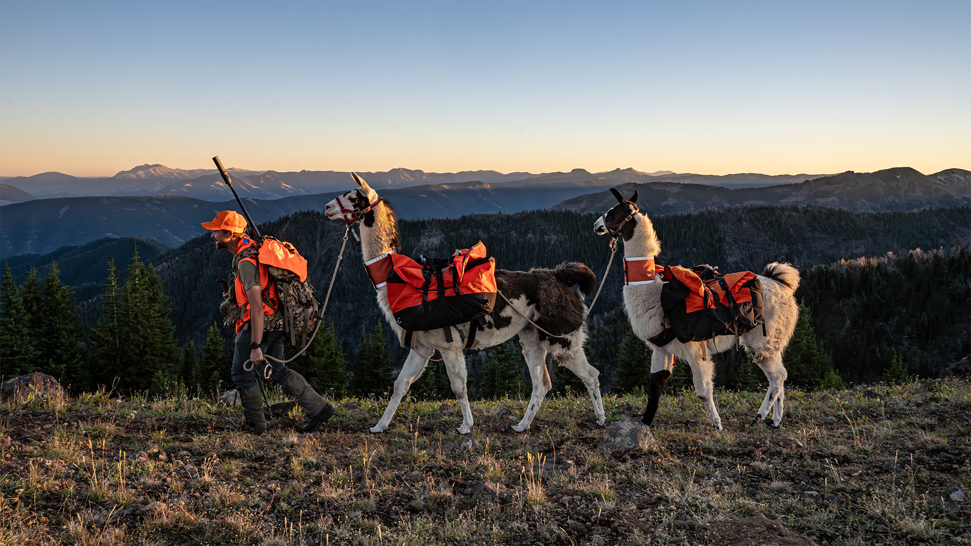 Pushing Until the Very End | Mountain Goat
