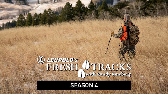 Fresh Tracks – Season 4